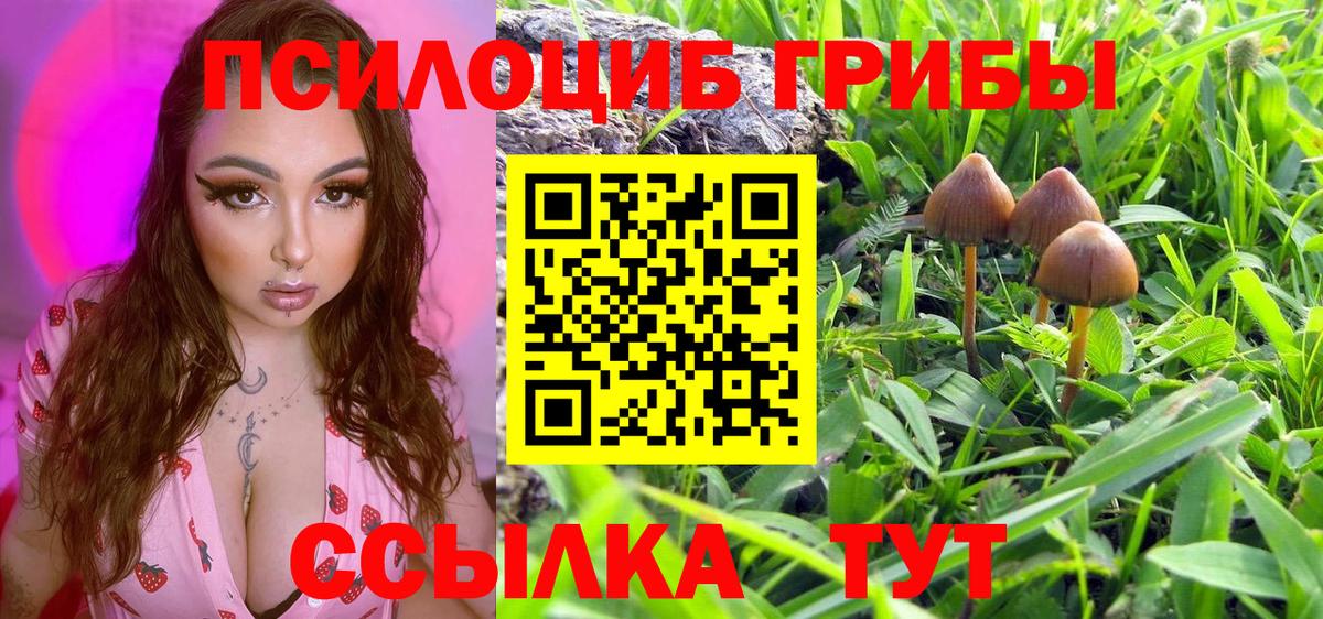 Зеленокумск  Псилоцибиновые грибы прущие грибы  Вход с VPN 