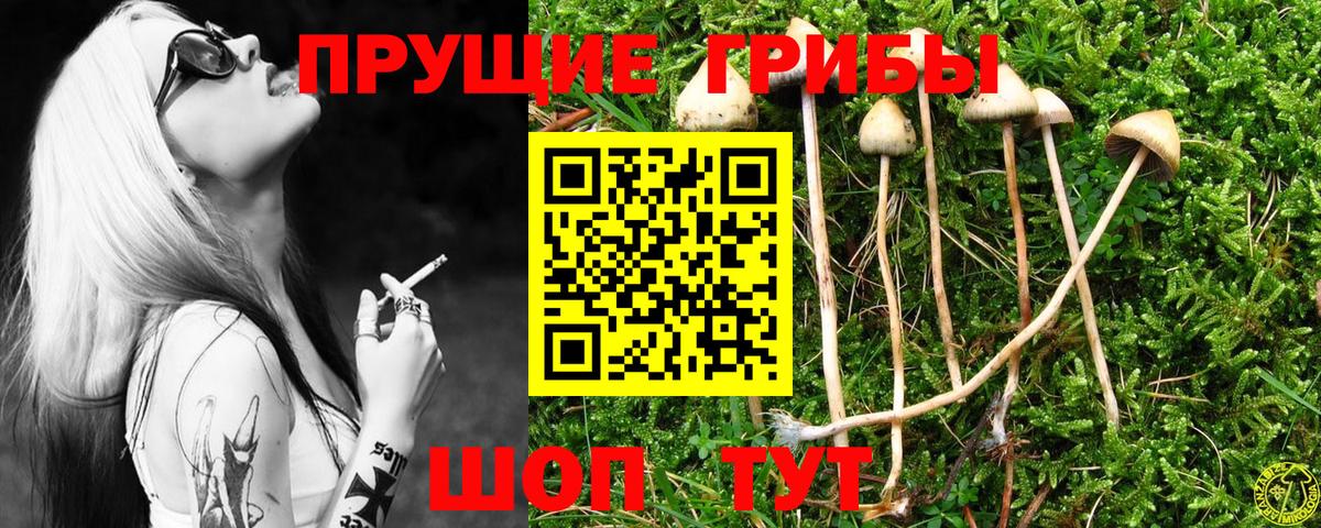 Псилоцибиновые грибы GOLDEN TEACHER Зеленокумск